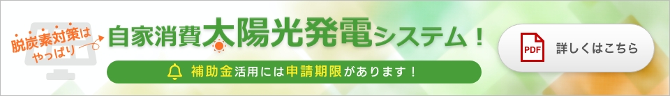 脱炭素対策ならやっぱり自家消費太陽光発電システム！PDFダウンロード