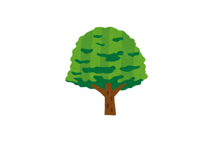 重包装用クラフト紙袋の原材料